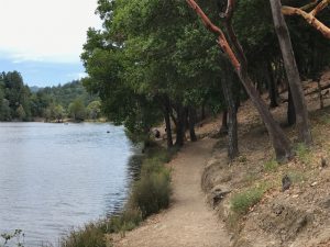 State parks often have great hiking trails